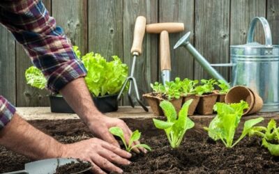 How Planting a Garden Can Save You Thousands in Pest Control