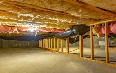 Expert Tips for Pest-Proofing Your Crawl Space in North Carolina